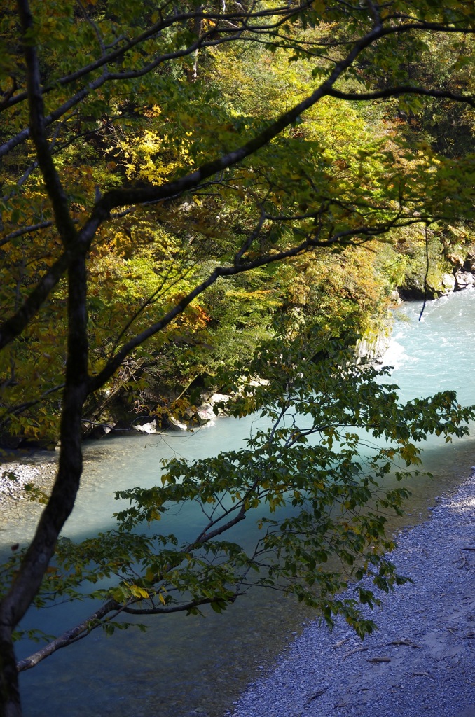 黒部川１（鐘釣）　
