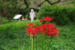 公園で