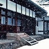 雪やこんこん