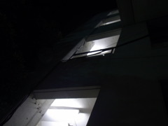 たてもの