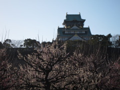 大阪城と梅