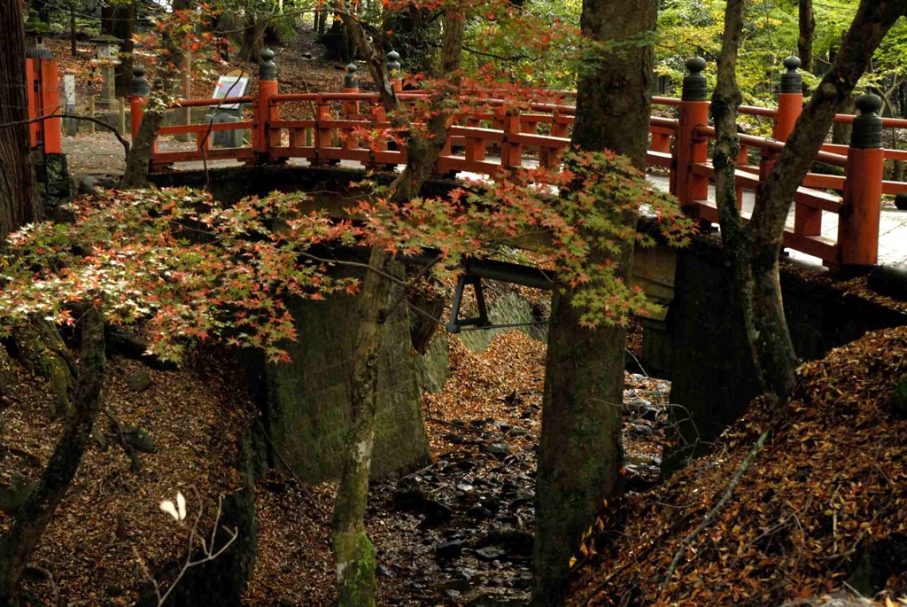 雰囲気だけ解って頂ければ