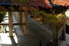 奈良　長谷寺にて