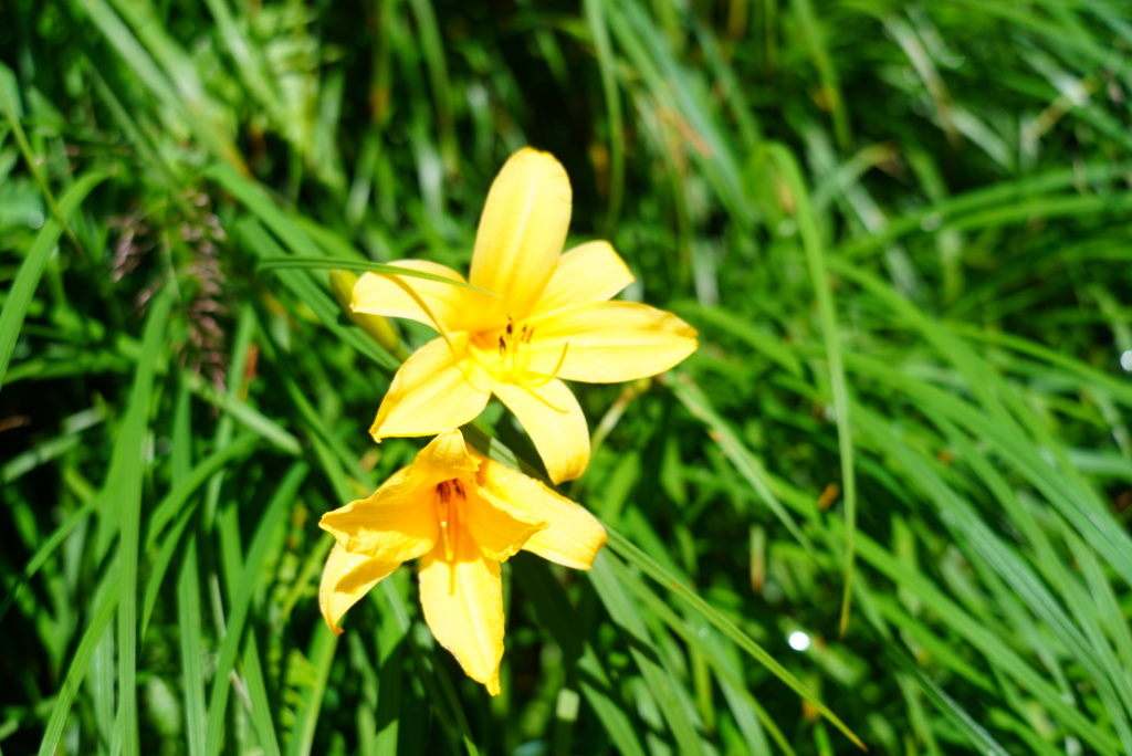 CCDDD301-9DD0-4C61-B2EA-BC843550A230