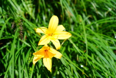 CCDDD301-9DD0-4C61-B2EA-BC843550A230