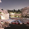 吉祥寺井の頭公園の夜桜ですよ。PART2