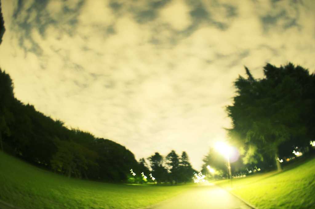 DSC01459