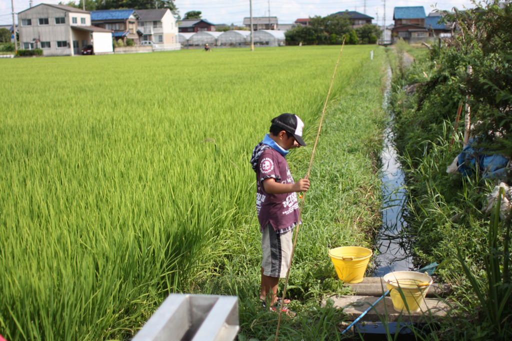 夏休み 魚釣り