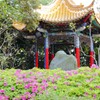 江ノ島４