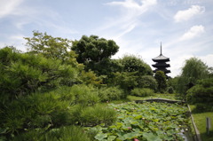 東寺五重塔２