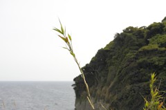 江ノ島３