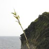 江ノ島３