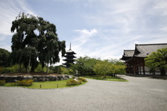 東寺