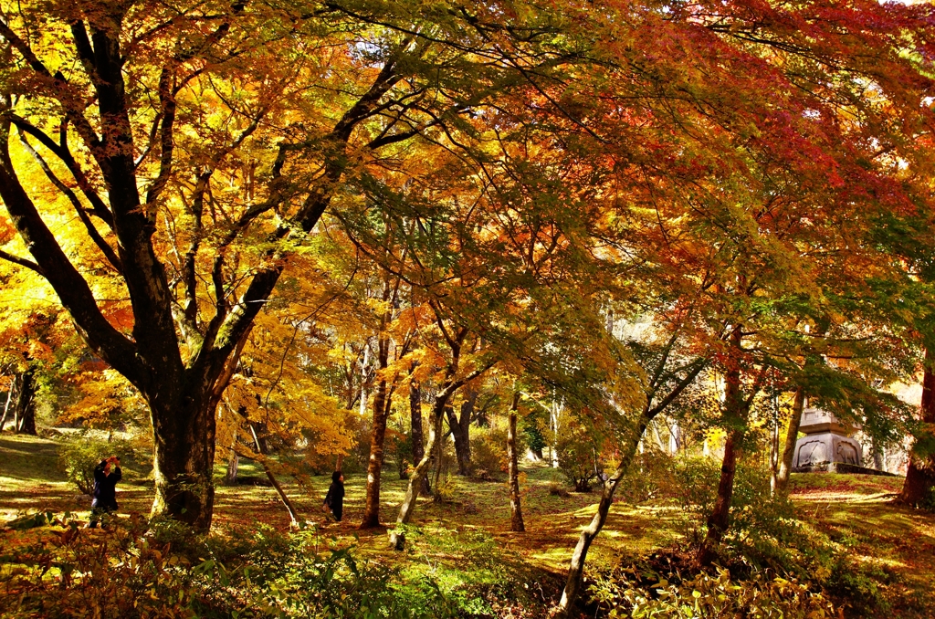 古峯神社の紅葉