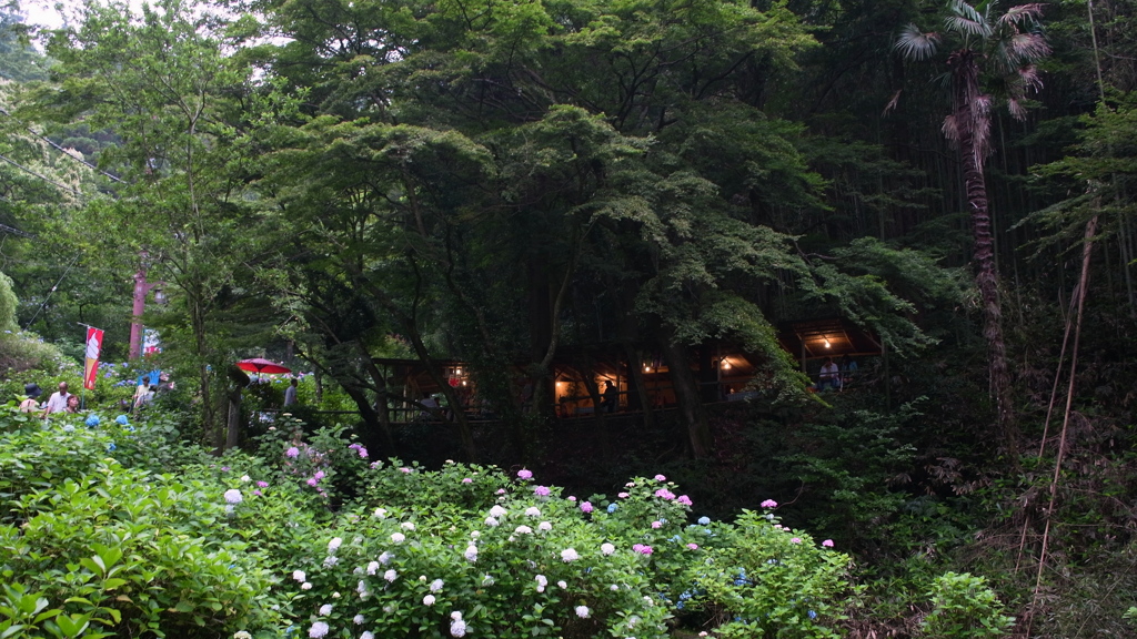 大平山_あじさい坂_茶屋