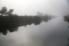 朝靄の川面
