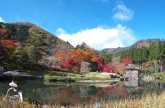 古峯神社の紅葉(庭園①)