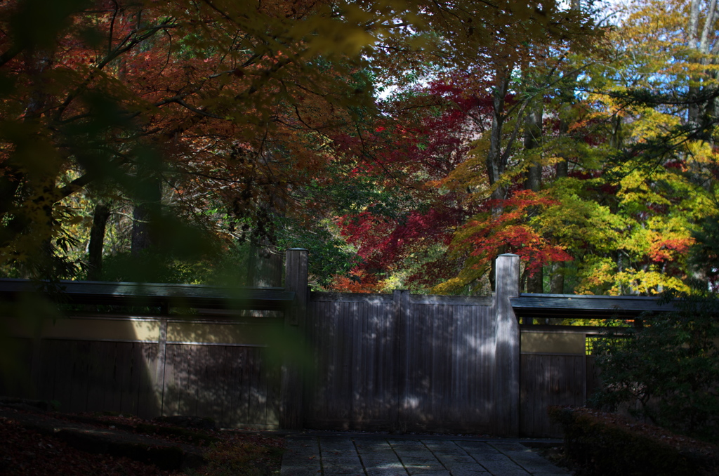 古峯神社の紅葉(開かずの門)