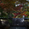古峯神社の紅葉(開かずの門)
