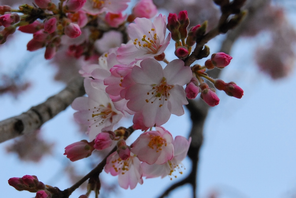 20100323