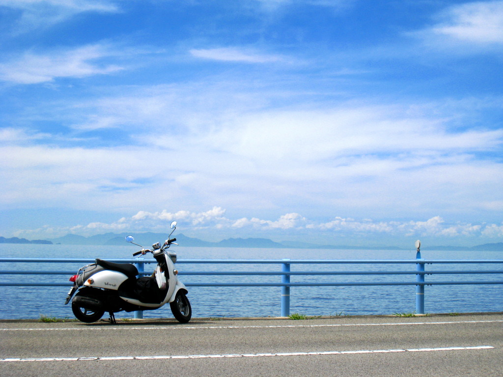 海沿いはやっぱり気持ちいい！