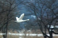 散策ちゅうだよ