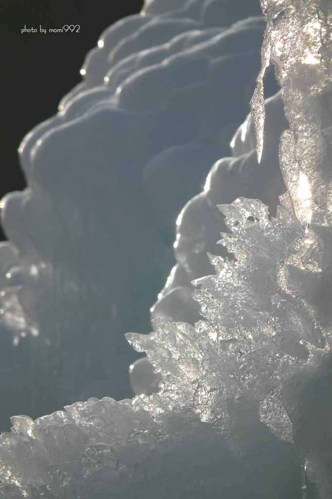 0129西湖樹氷祭り (2)