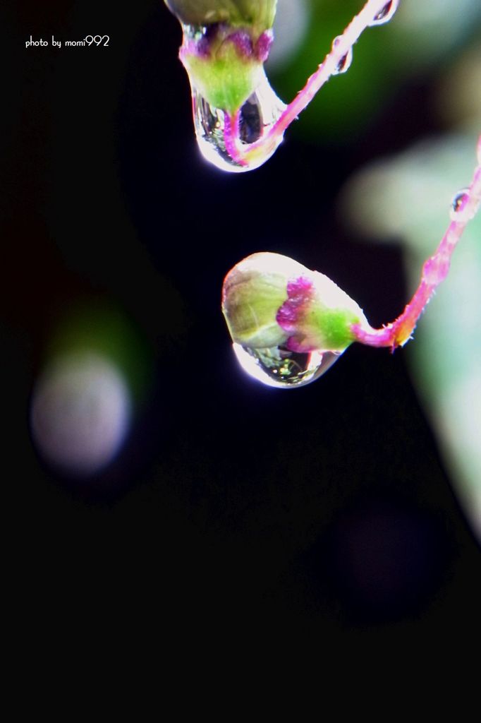 101010 (4)