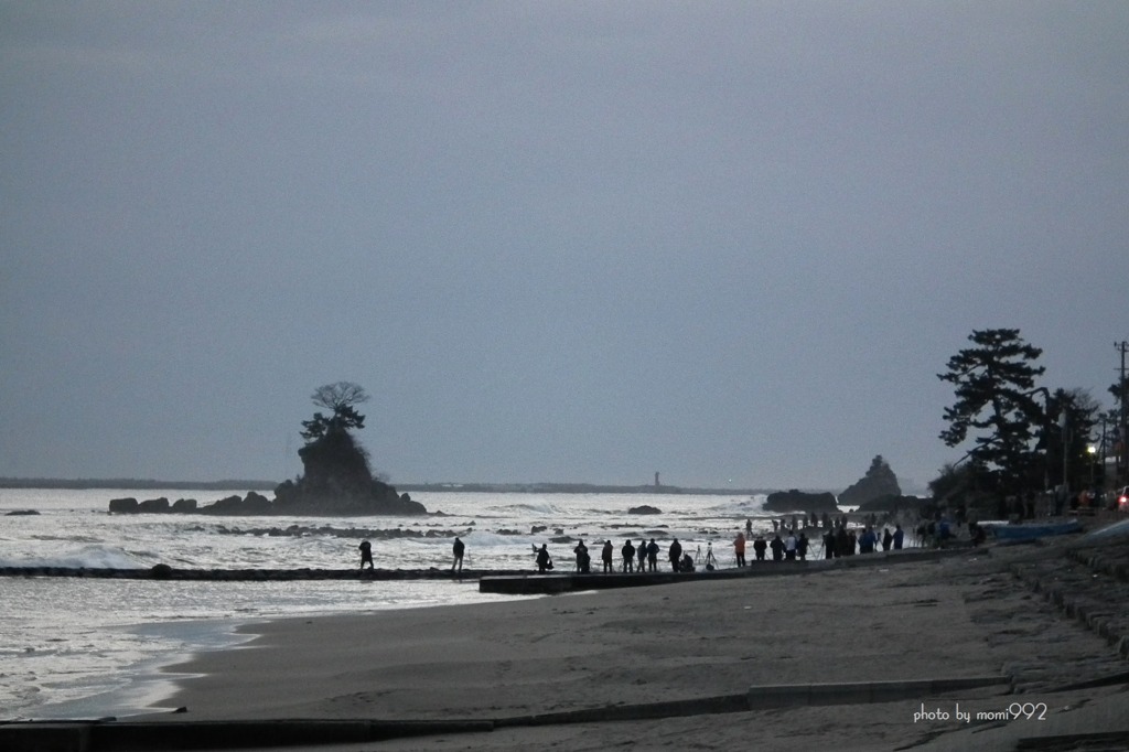 １９日の雨晴海岸