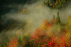 121104-SLT-A57 (4)