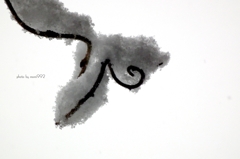 雪の中の散策d