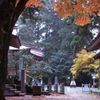 雨の中の金剱宮