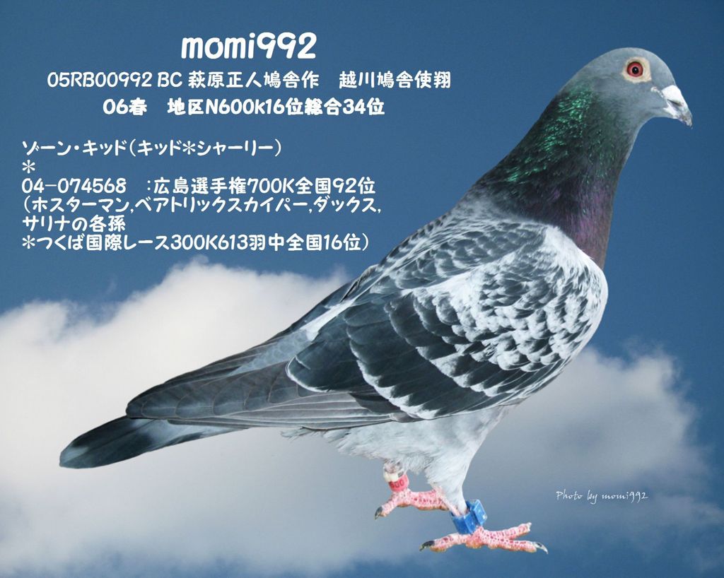 momi992