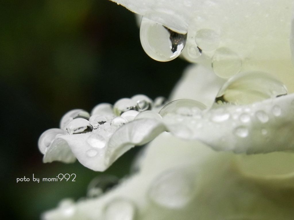 水滴