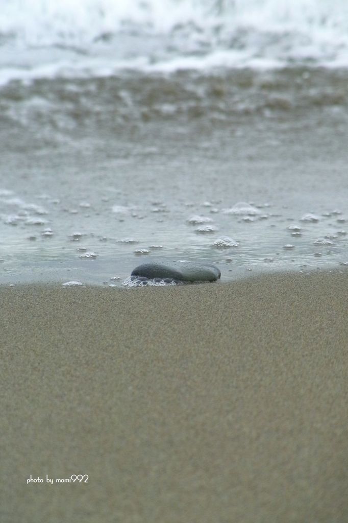 小舞子海岸