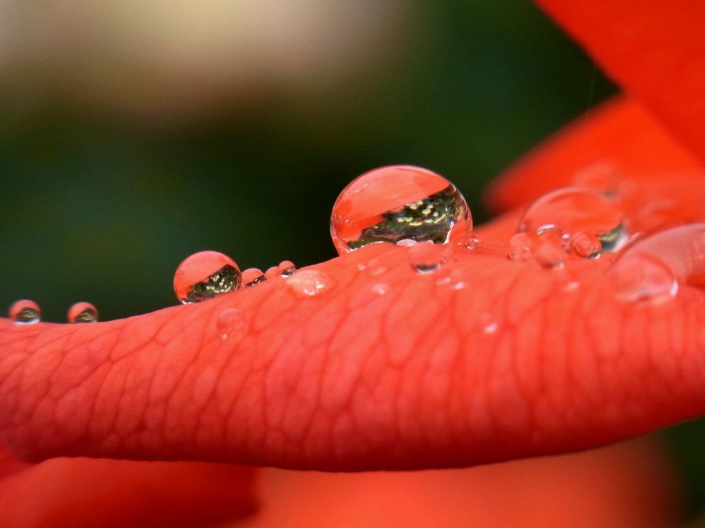 水滴