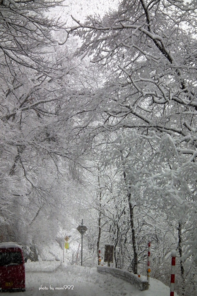 雪の中の散策あa