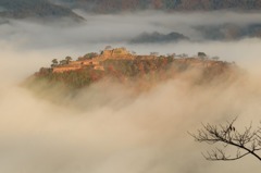 121116 (14)