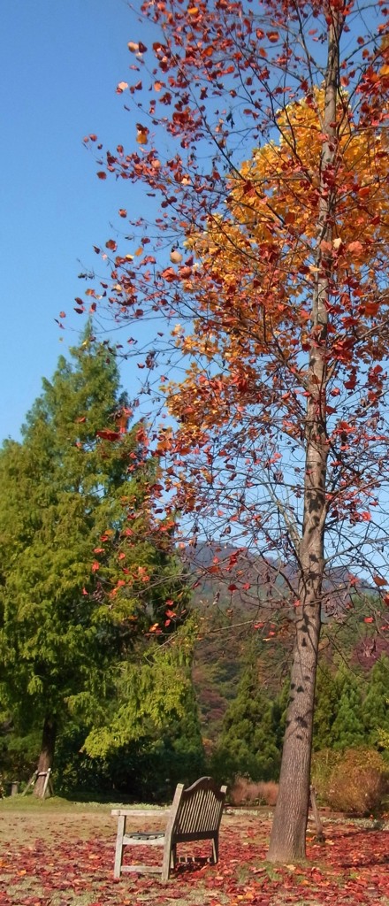091028 (2)