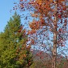 091028 (2)