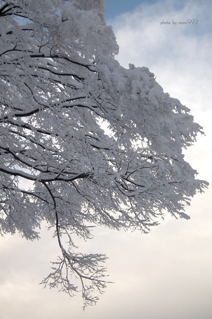 今年最後の青空