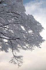 今年最後の青空