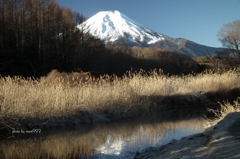 0130忍野 (5)