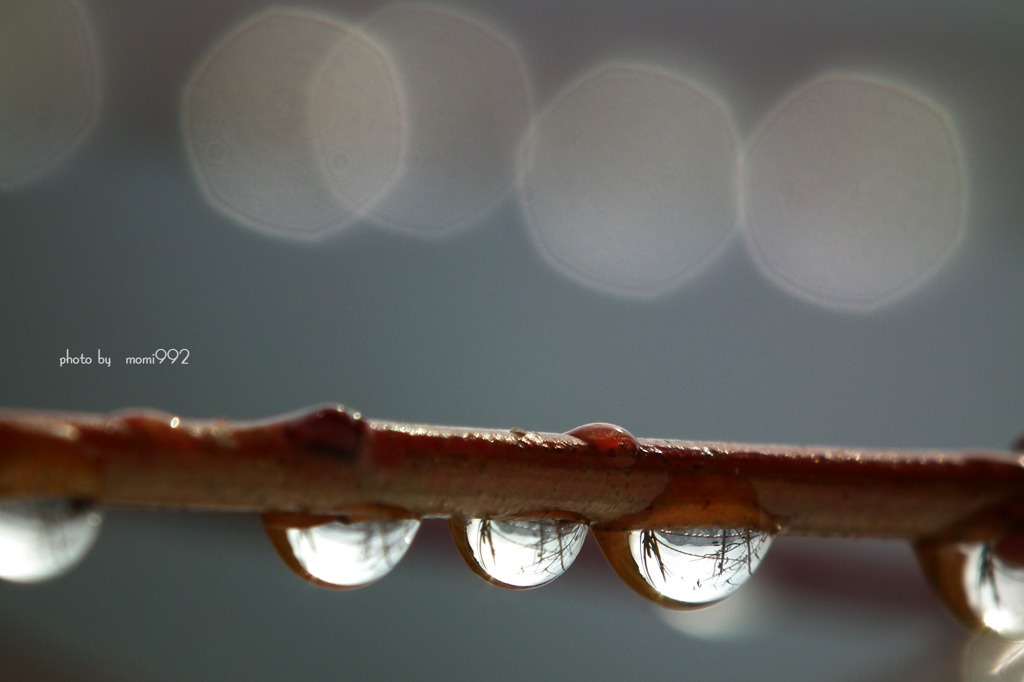 一雨一雨