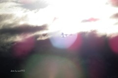 初日の出に染まる