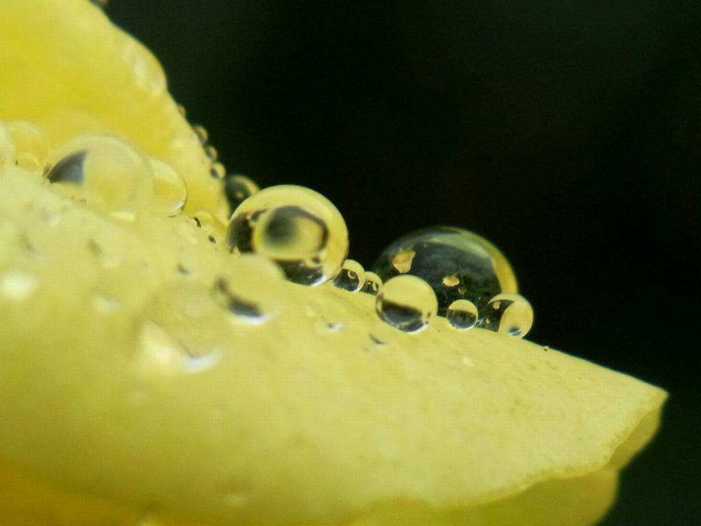水滴