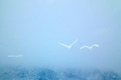 山まで散策