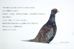 2010 最後の１枚