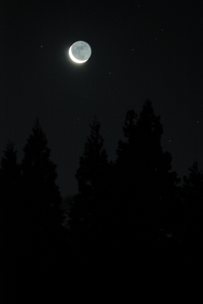 MoonShadow