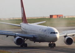 トルコの嵐